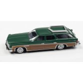 CMW BUICK 1975 ESTATE WAGON DA