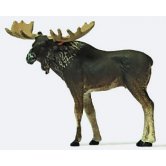 PREI MOOSE