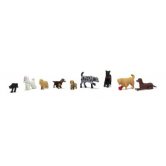 WS 8 DOGS 1 CAT