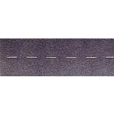 BUSCH ASPHALT TWO LANES MARKED