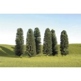 BACH Cedar Tree 5-6 inch