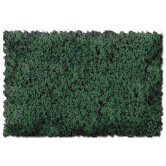 SCEN FLOCK/TURF SAGE GREEN COA