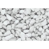 WS TALUS COURSE NATURAL