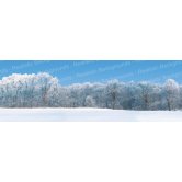 RB SNOW SCENE