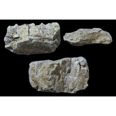 WS ROCK MOLD RANDOM