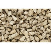 WS TALUS COARSE BUFF