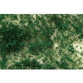 BACH MEDIUM FOILAGE DK. GRN