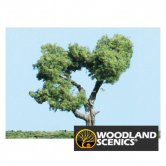 WS TREE KIT DECIDOUS