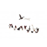 WS GEESE and CHICKENS