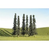 BACH Conifer Tree 5-6 inch