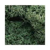 WS LICHEN -LT.GREEN