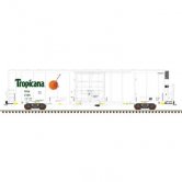 ATL TRINITY REEFER 64ft TROPIC