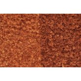 WS FOLIAGE -LATE FALL