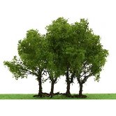 JTT Privet 3.3.5 inch