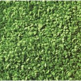 NOCH LEAVES LIGHT GREEN