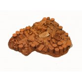 MONRO City Junk Pile