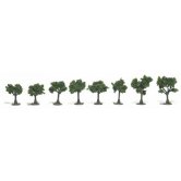 WS TREES DECID M.GREEN .75-1.2