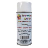 TRU GLOSS FINISH SPRAY